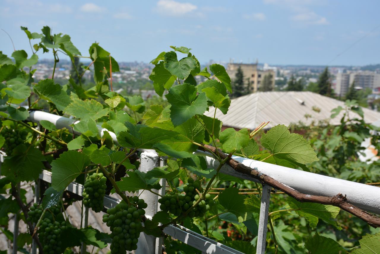 Friends House Hotel Kutaisi Ngoại thất bức ảnh