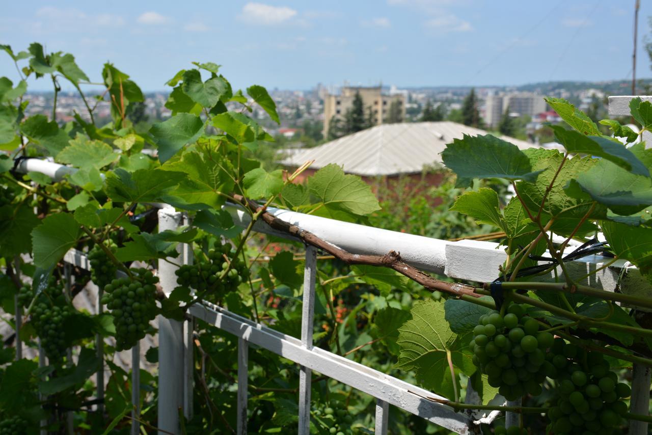 Friends House Hotel Kutaisi Ngoại thất bức ảnh